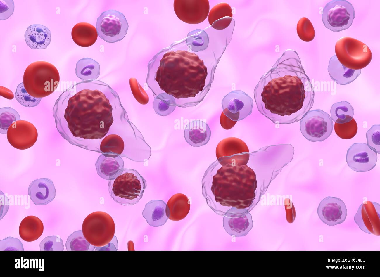 Primary myelofibrosis (PMF) cells in blood flow - isometric view 3d illustration Stock Photo