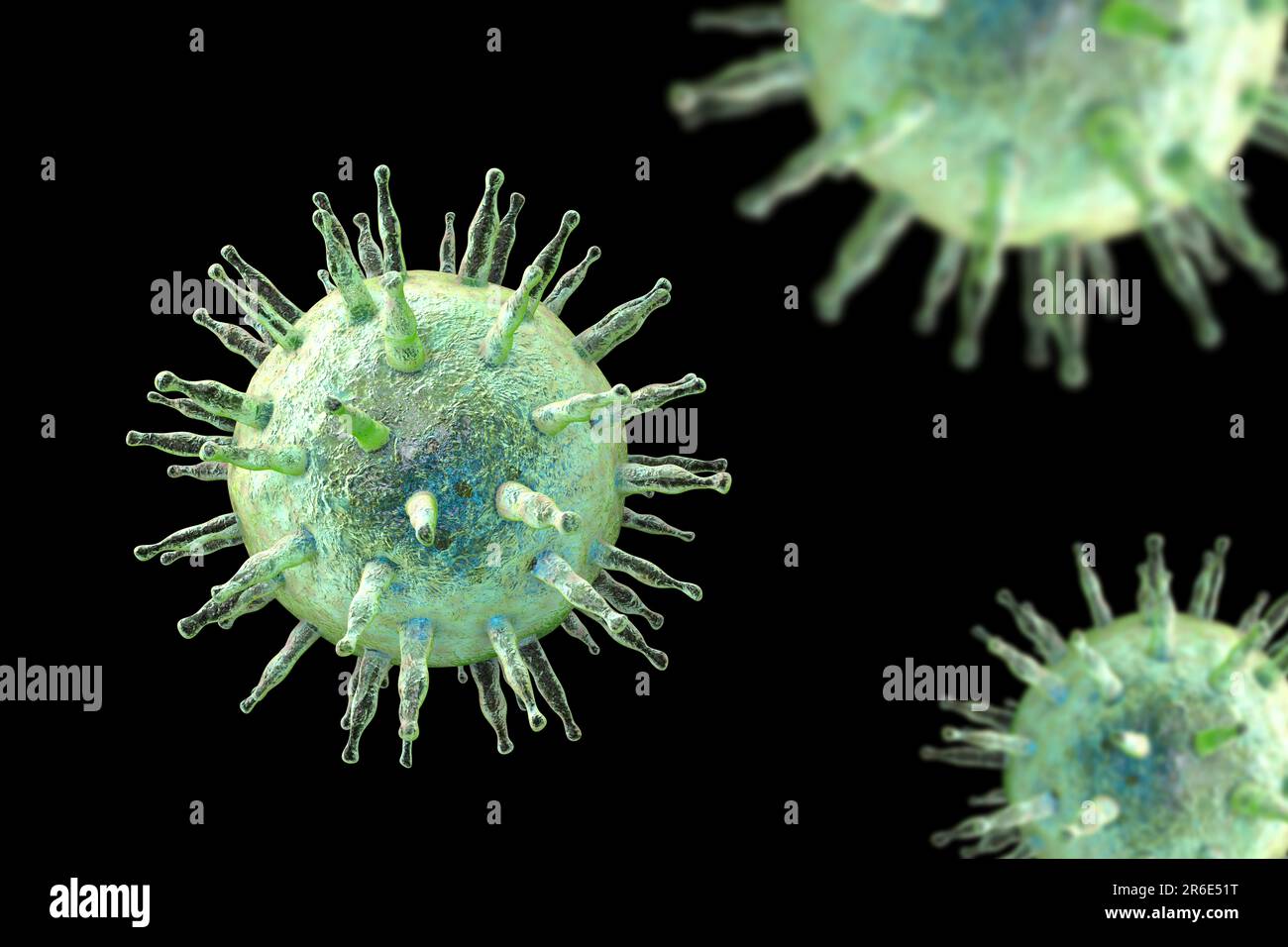 Epstein-Barr virus (EBV), computer illustration. EBV, also known as human herpes virus 4, is 1 of 8 herpes viruses that infects humans. It is best kno Stock Photo