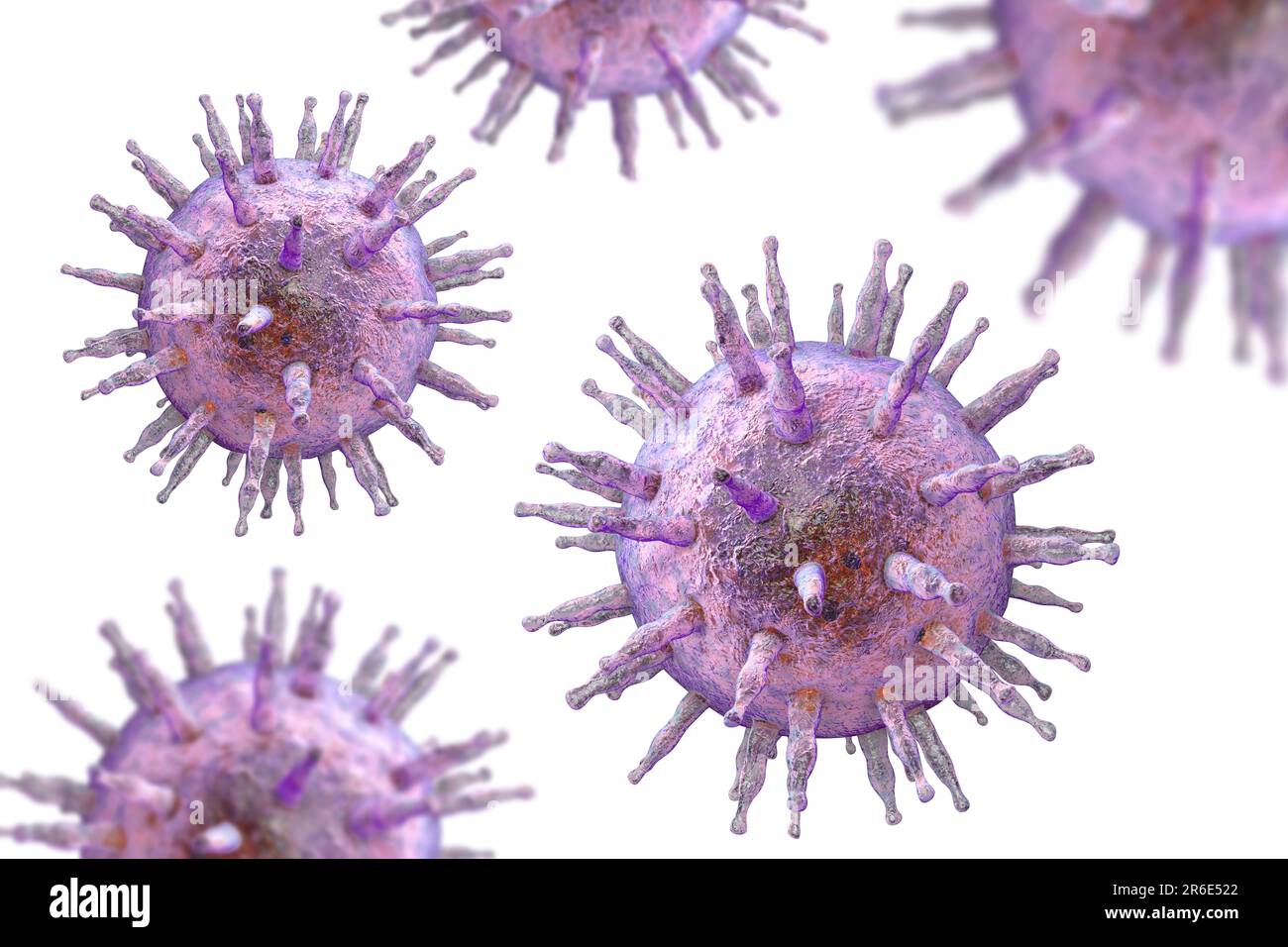 Epstein-Barr virus (EBV), computer illustration. EBV, also known as human herpes virus 4, is 1 of 8 herpes viruses that infects humans. It is best kno Stock Photo