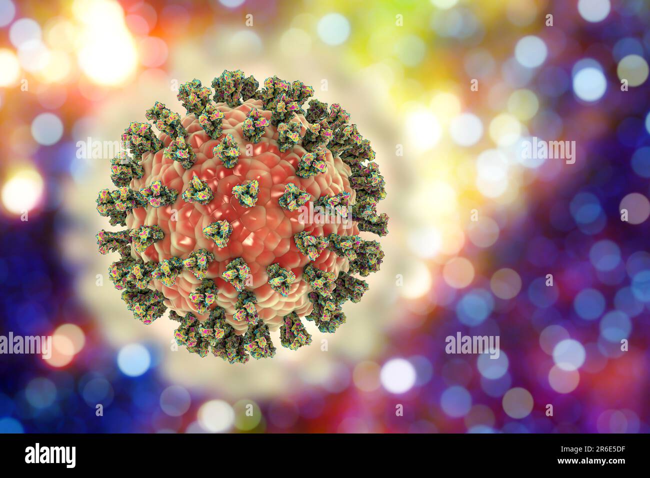 Human parainfluenza virus (HPIV), computor illustration. HPIV is a paramyxovirus that causes different types of respiratory infections, including ear Stock Photo