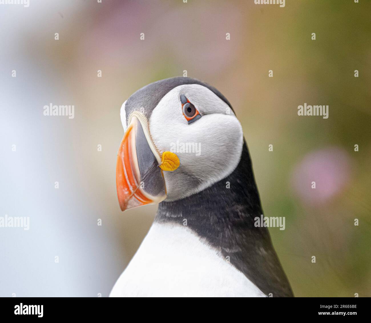 My Image 26