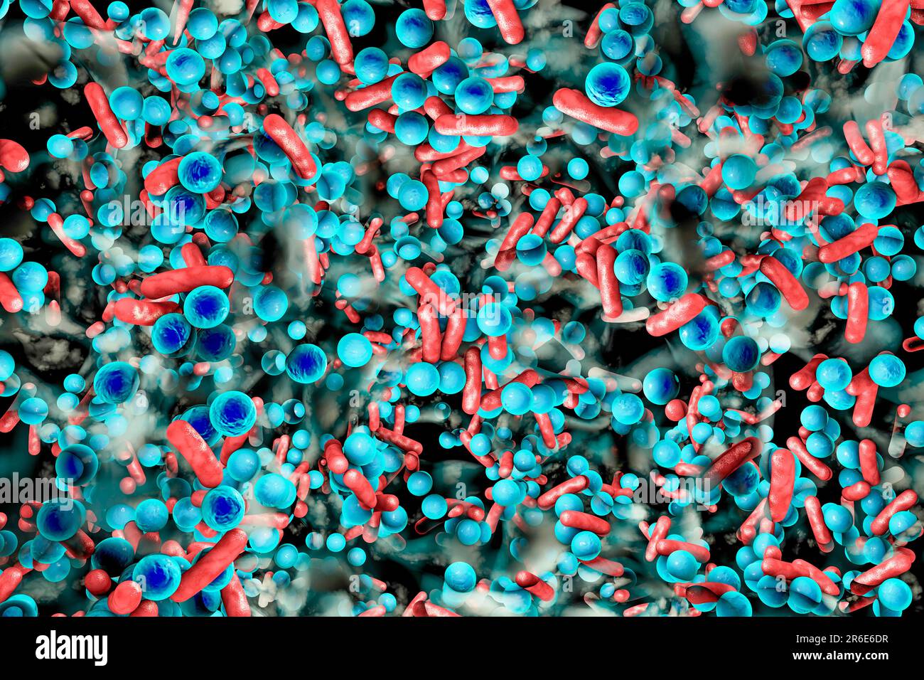 Spherical bacteria and rodshaped bacteria inside biofilm, illustration