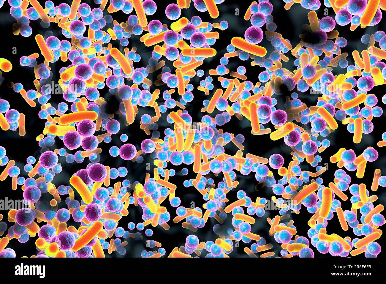 Spherical bacteria and rodshaped bacteria inside biofilm, illustration