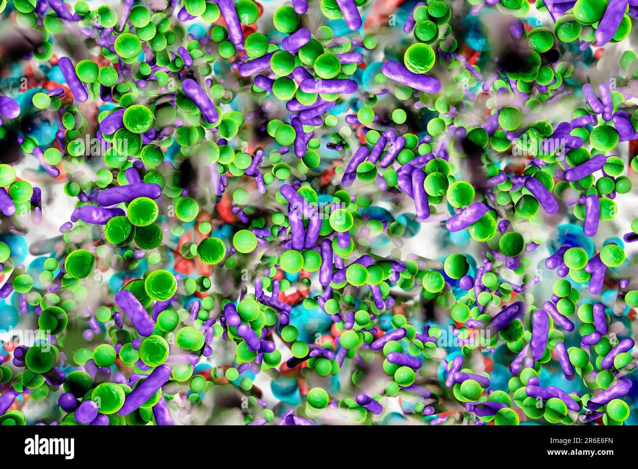 Spherical bacteria and rodshaped bacteria inside biofilm, illustration