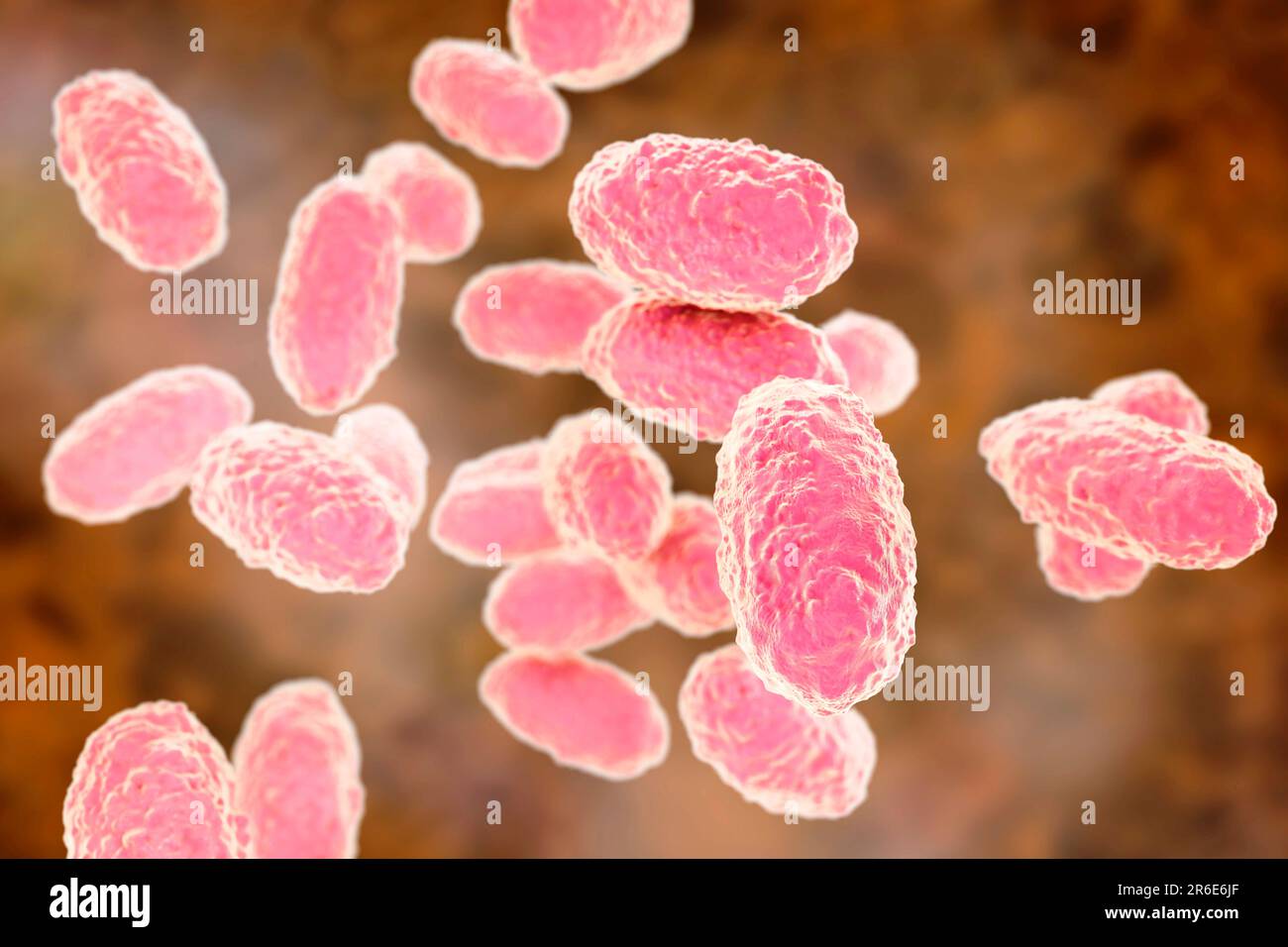 Whooping cough bacteria (Bordetella pertussis), computer illustration