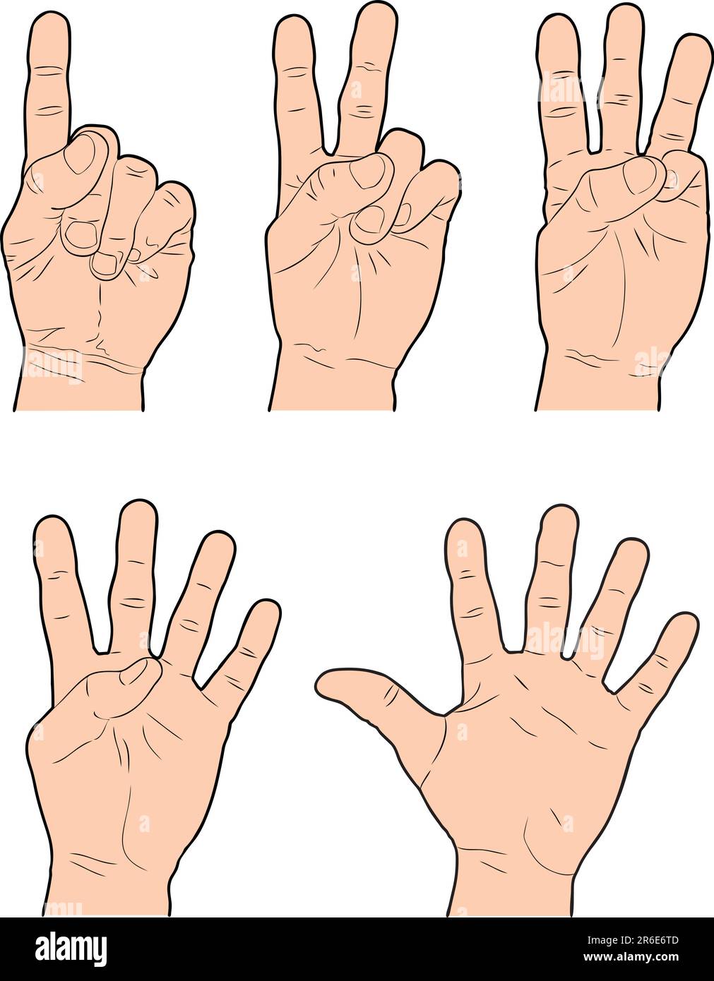 Hands representing the numbers 1 through 5 using fingers. Stock Vector