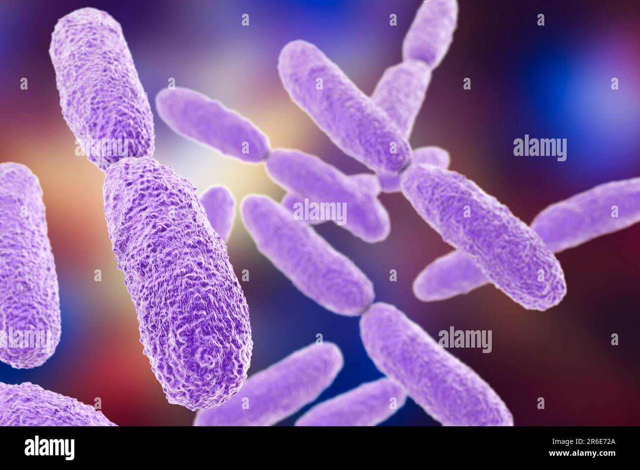 Klebsiella pneumoniae bacteria, computer illustration. K. pneumoniae are Gram-negative, encapsulated, non-motile, enteric, rod prokaryote. This specie Stock Photo