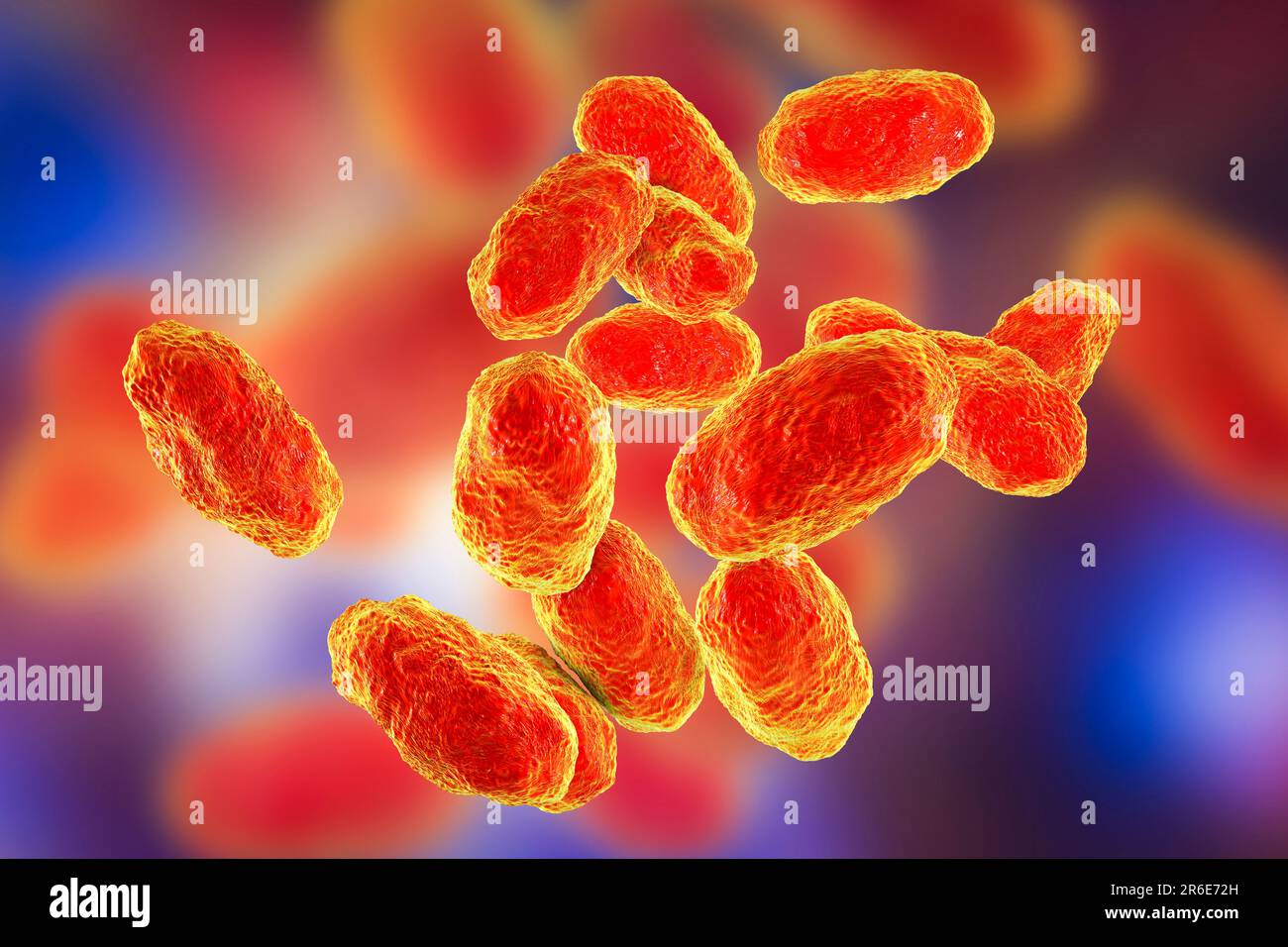 Computer illustration of Haemophilus influenzae, coccobacillus prokaryote (often exhibiting coccoid and bacilli shapes); causes meningitis in children Stock Photo