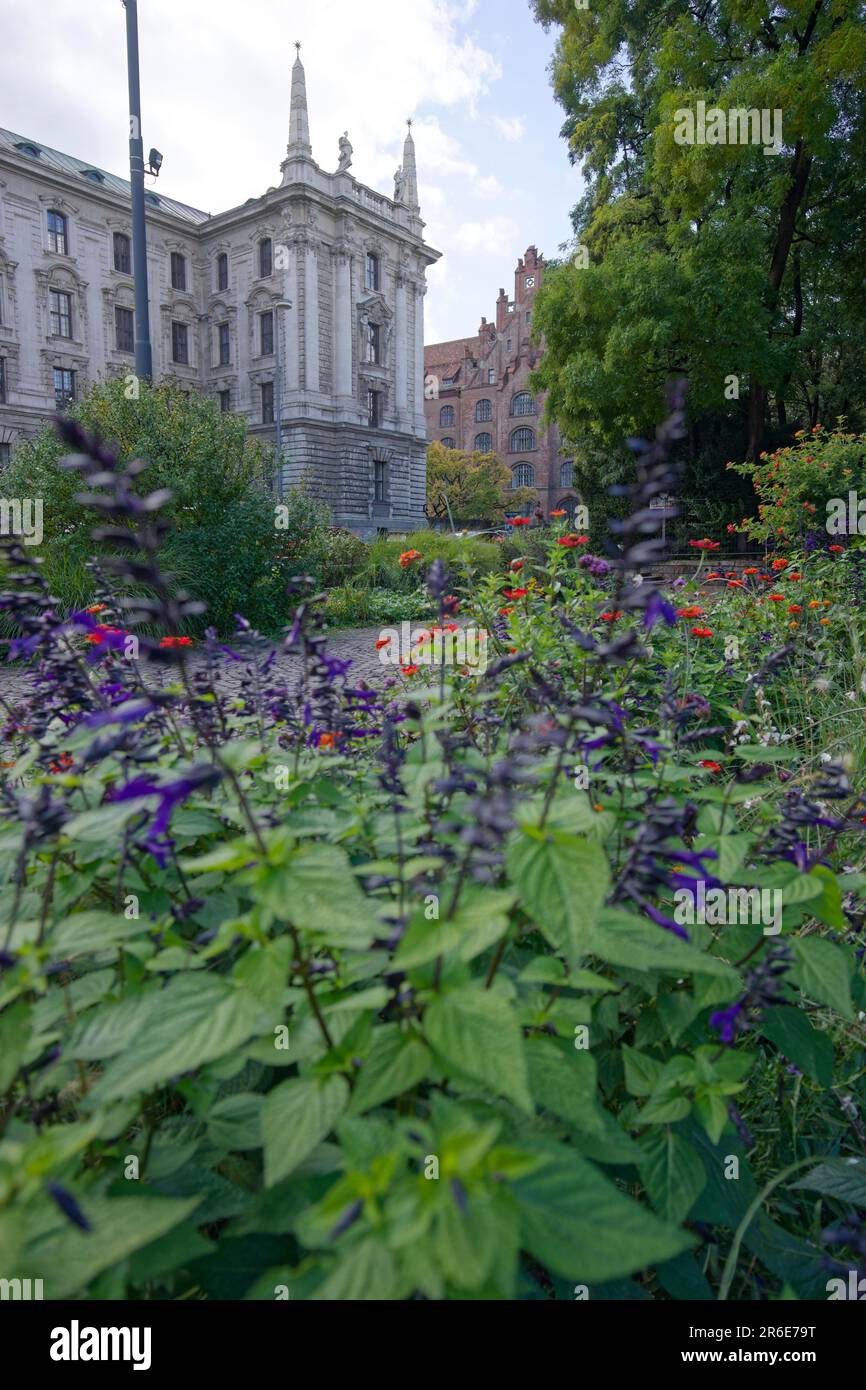Small Botanical Garden, summer flowers in the Small Botanical Garden ...