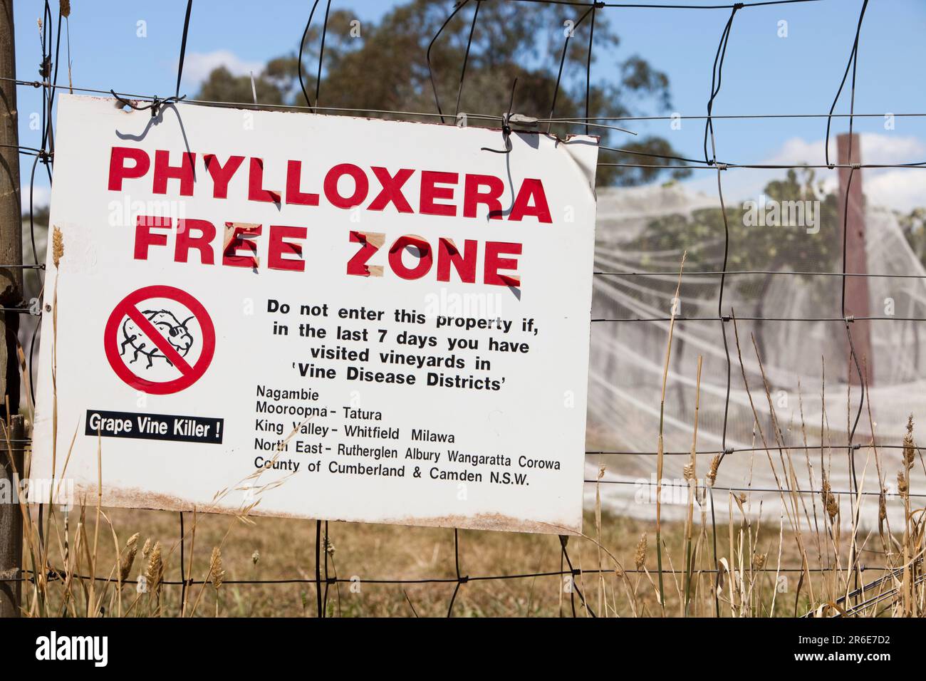 Grape vines in near Shepperton in Victoria covered up to protect them from birds. With a Phylloxera warning sign. Stock Photo