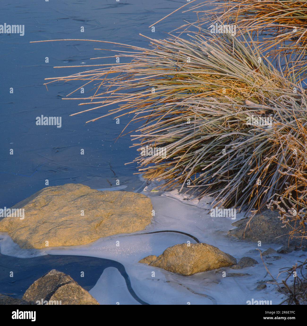 Ice formation on the shore, icy pond Stock Photo