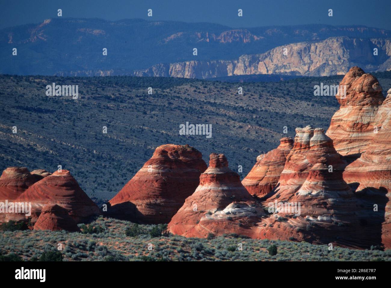 Sandstone formations, Vermillion Cliff Wilderness, Utah, USA Stock Photo