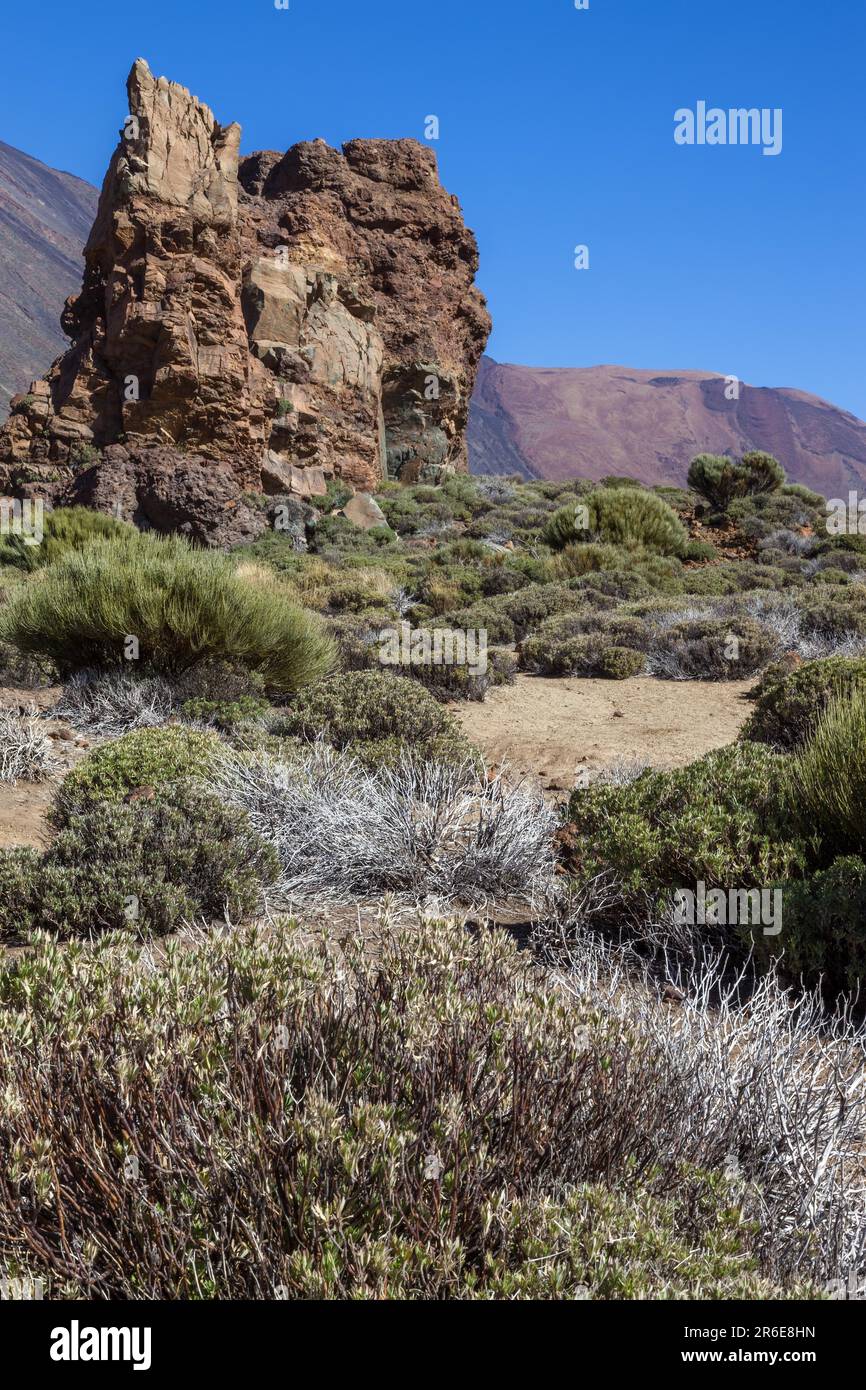Curated visual reference: Visual Reference: Mount Teide Caldera And It S Surrounding Mountains Stock Photo