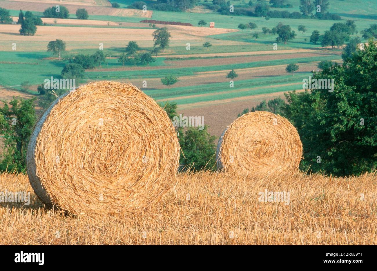 Straw bales on a stubble field Stock Photo - Alamy