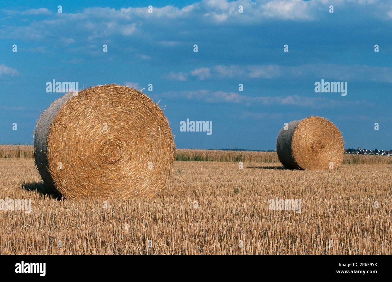 Straw bales on a stubble field Stock Photo - Alamy
