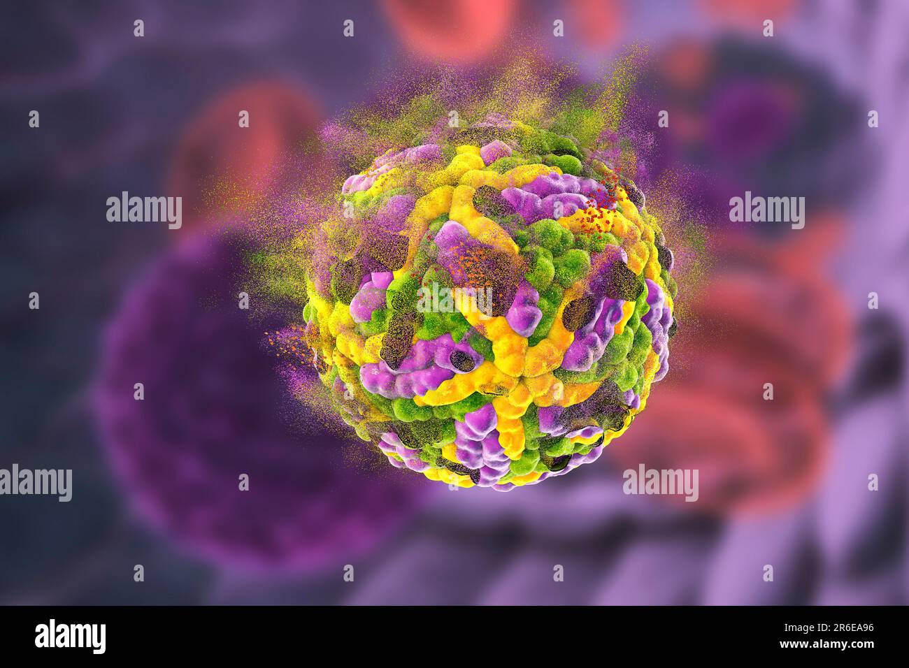 Zika virus illustration hi-res stock photography and images - Alamy