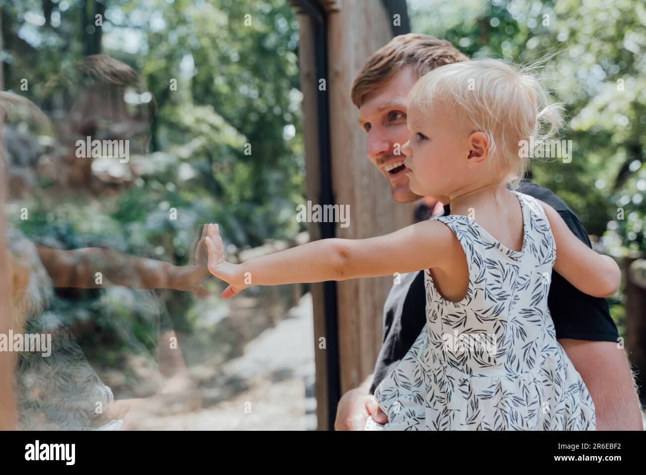 Caucasian man with his daughter at the zoo looking through glass Stock Photo