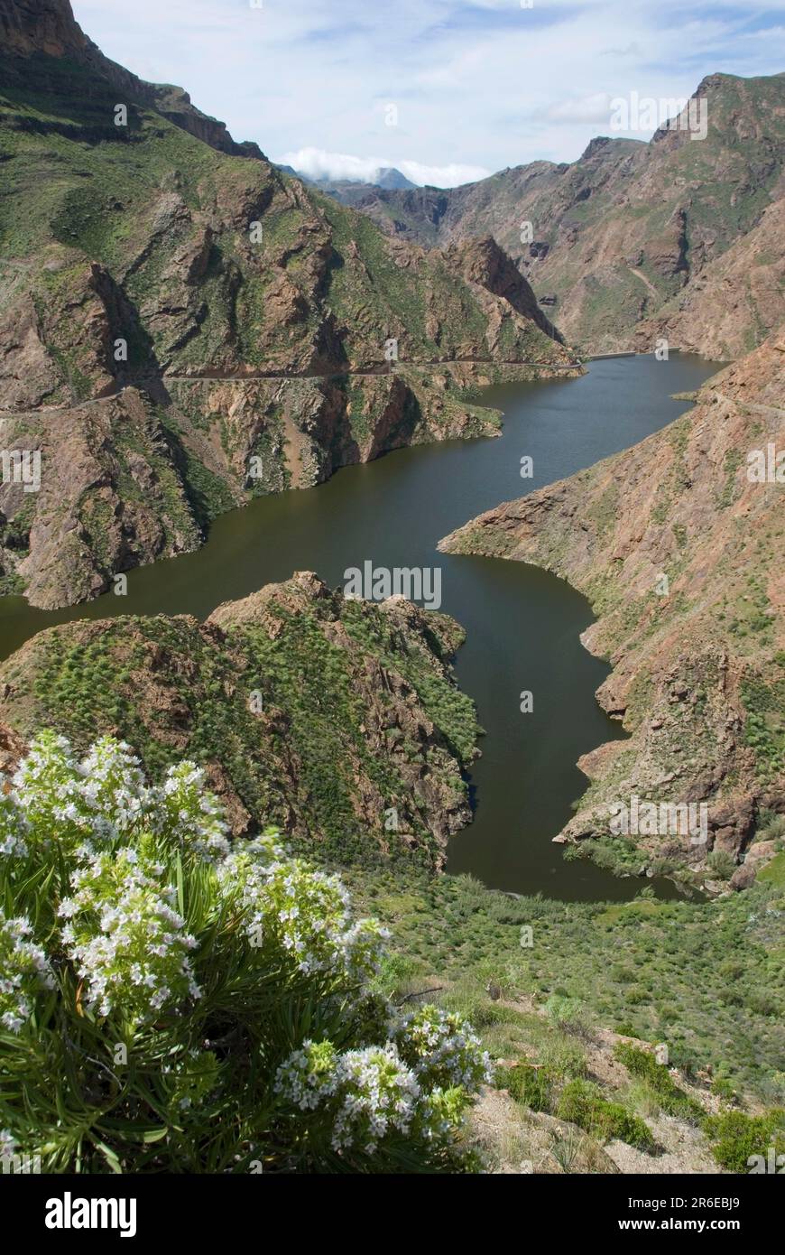 Presa del Parralillo Reservoir, Gran Canaria, Canary Islands, Spain, Mountain Road GC210 Stock Photo