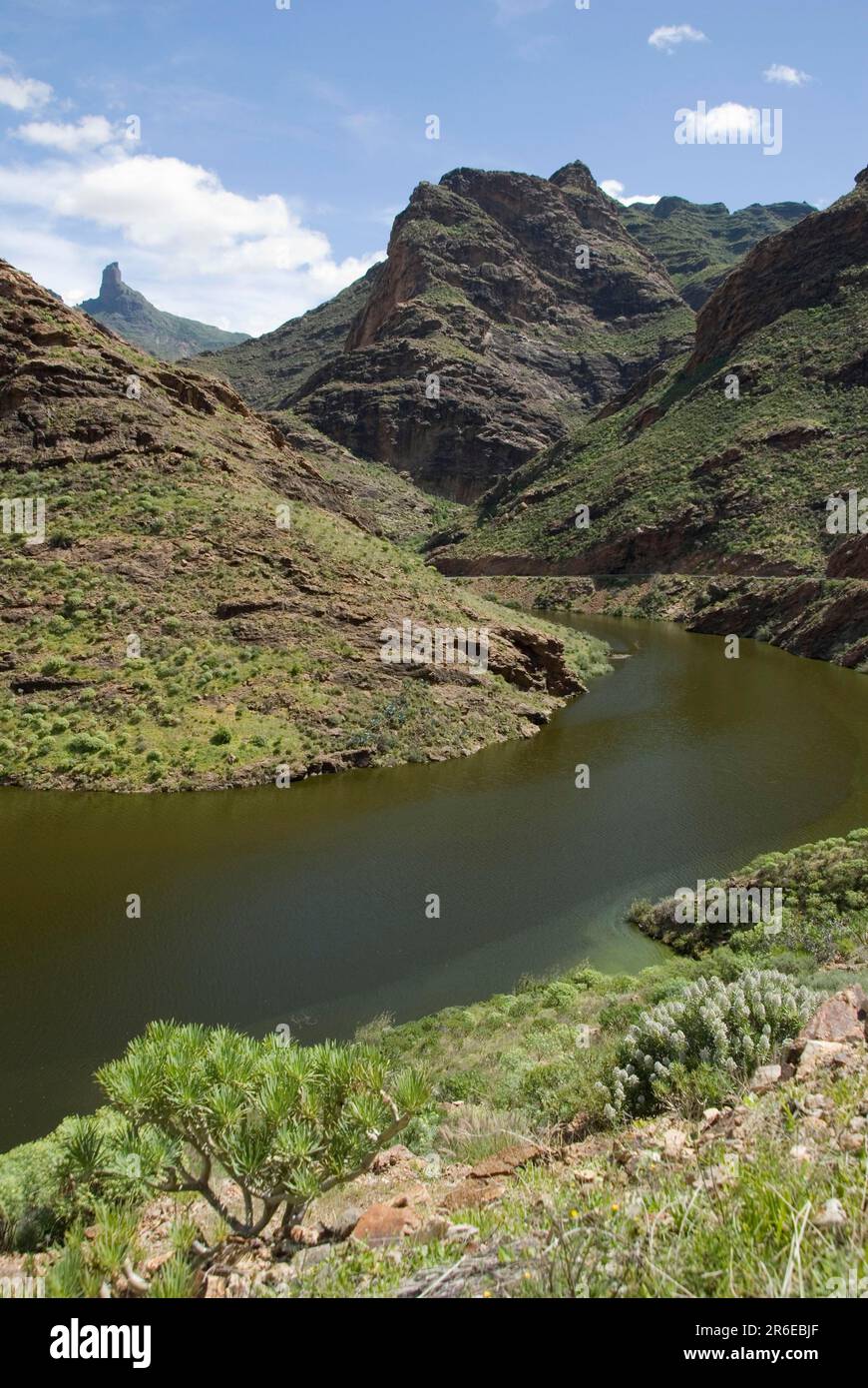 Presa del Parralillo Reservoir, Gran Canaria, Canary Islands, Spain, Mountain Road GC210 Stock Photo