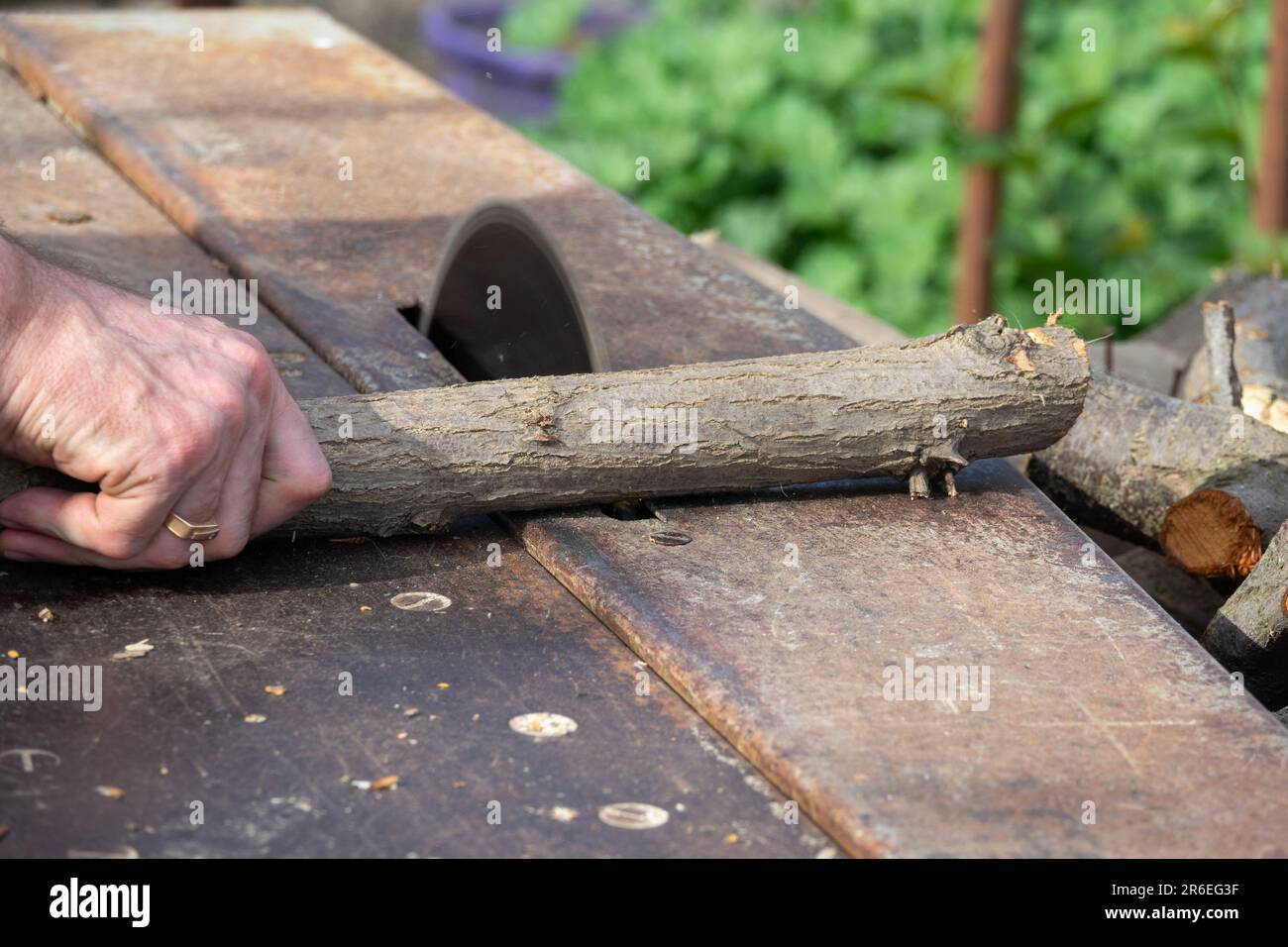 Hands of a worker sawing firewood with an industrial electric circular