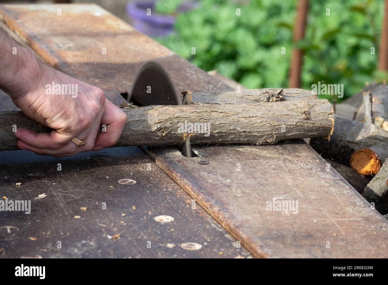 Hand saw for firewood deals