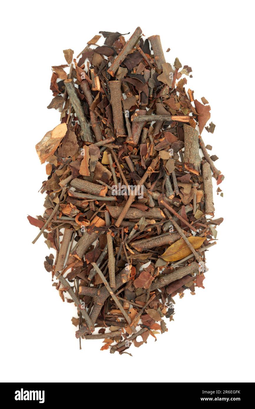 Mulberry mistletoe herb Chinese herbal plant medicine, lowers