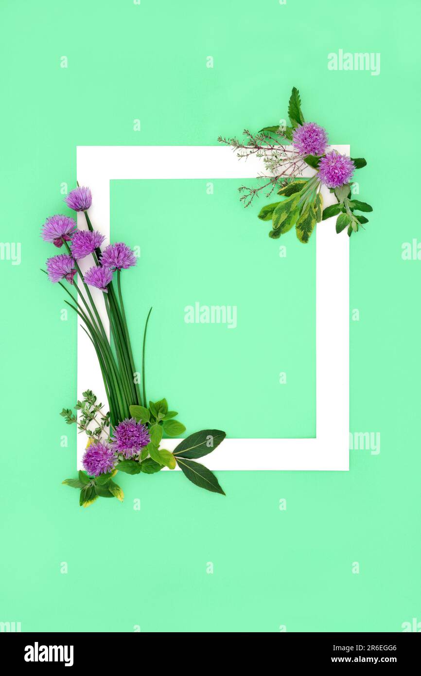 Creative concept with herb leaf flower seasoning. Minimal background