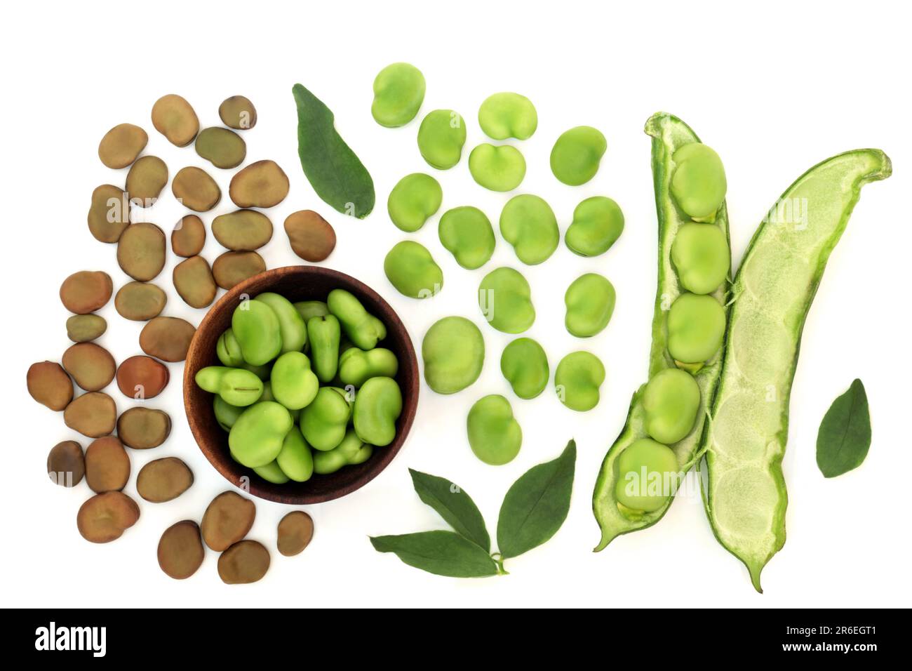 Broad bean legumes health food dried and fresh with leaves. High in protein, fibre, folate and B vitamins, can lower high cholesterol levels. On white Stock Photo