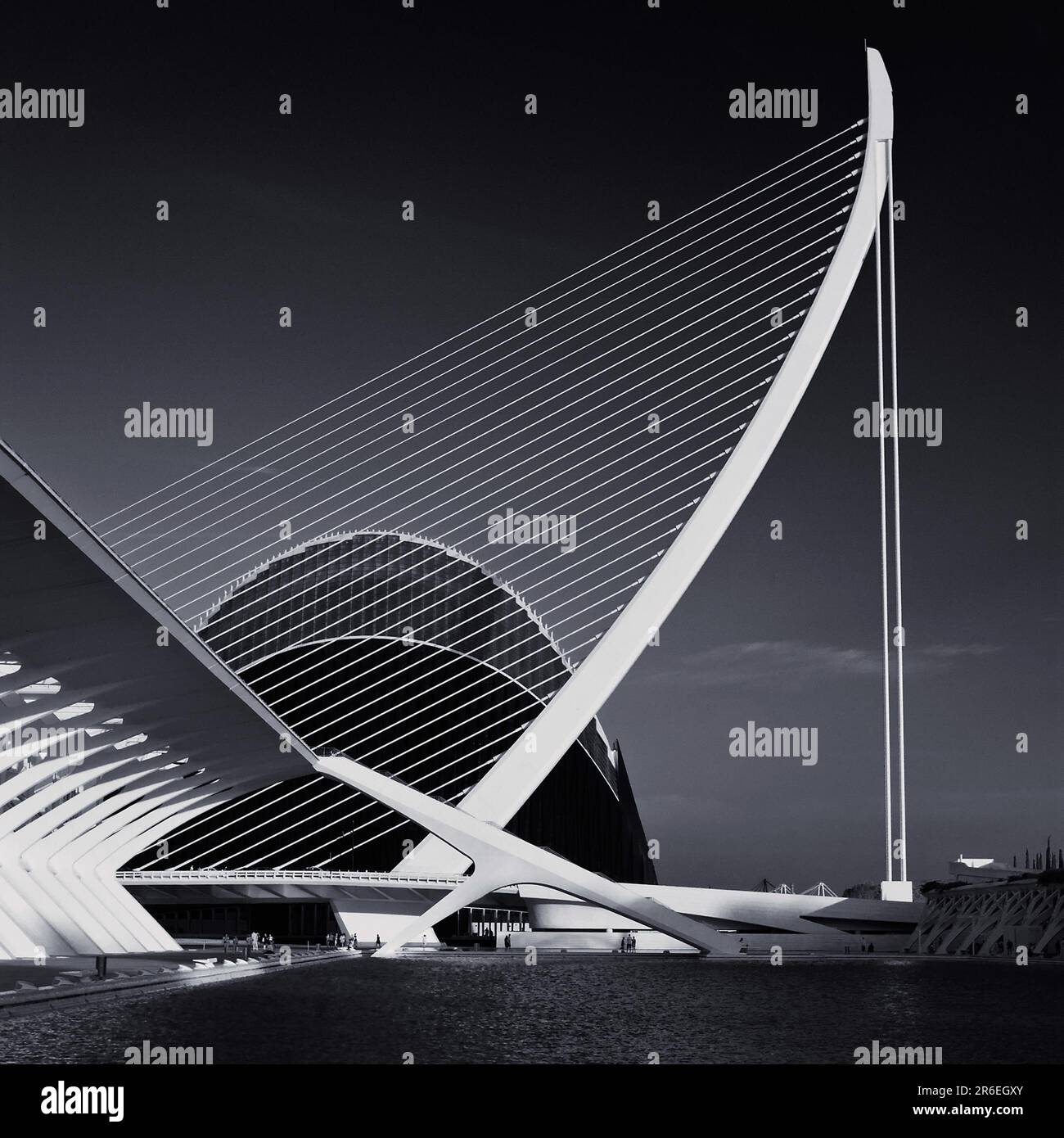 Puente l'Assut de l'Or is part of the Ciudad de las Artes y las Ciencias, The architect Santiago Calatrava has built a monument to his home city of Stock Photo