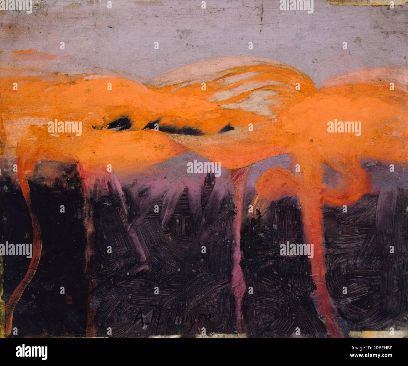Red Flamingoes, study for book Concealing Coloration in the Animal Kingdom. oil on wood. Date: ca. 1905-1909. Museum: Smithsonian American Art Museum. Stock Photo