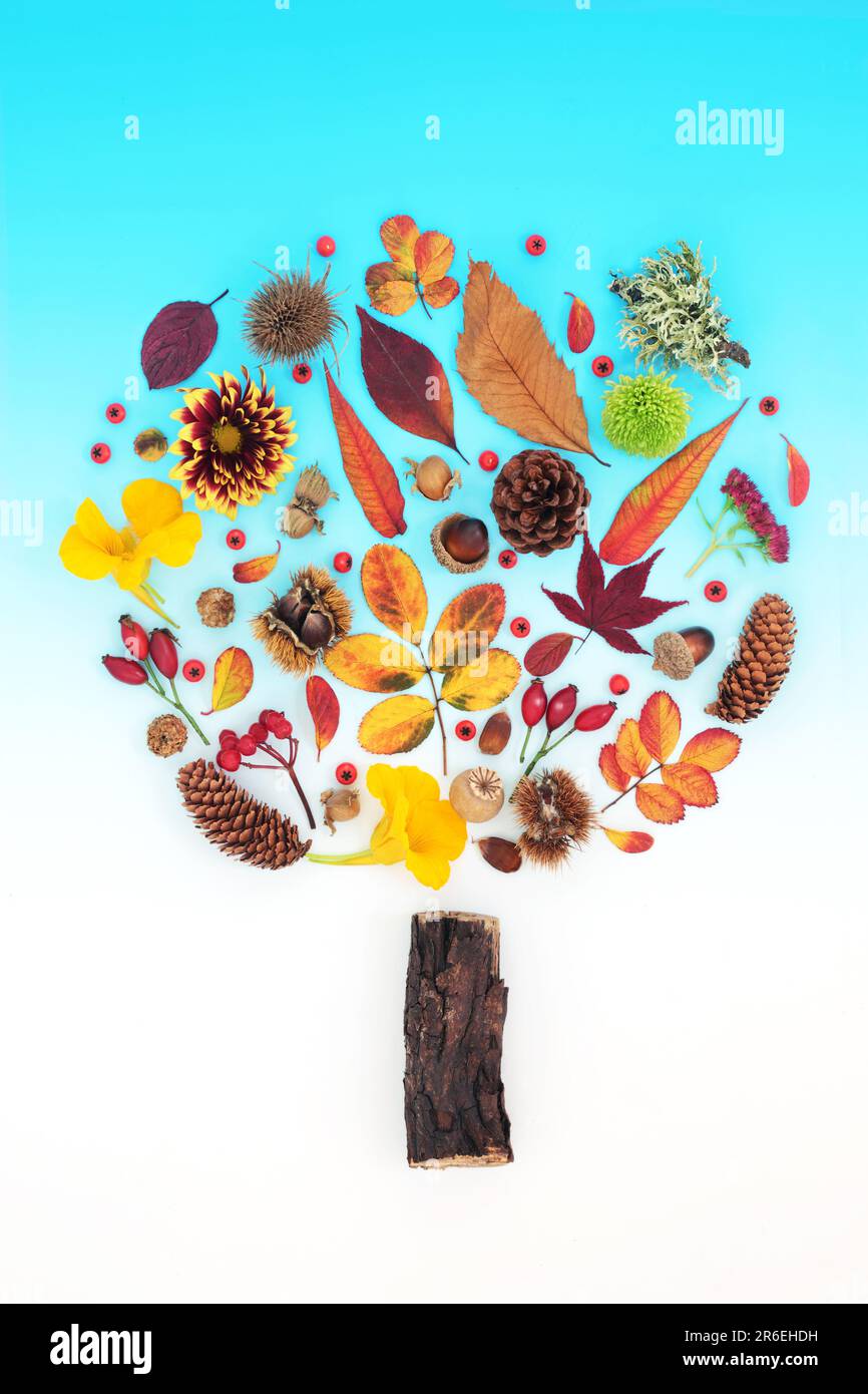 Abstract Autumn and Thanksgiving tree shape design with leaves, flowers, berry fruit, nuts and natural objects. Surreal nature Fall composition. Stock Photo