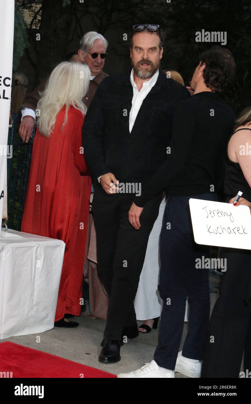 New York, NY, USA. 08th June, 2023. David Harbour at the premiere of Downtown Owl during the 2023 Tribeca Festival at SVA Theatre on June 08, 2023 in New York City. Credit: Rw/Media Punch/Alamy Live News Stock Photo