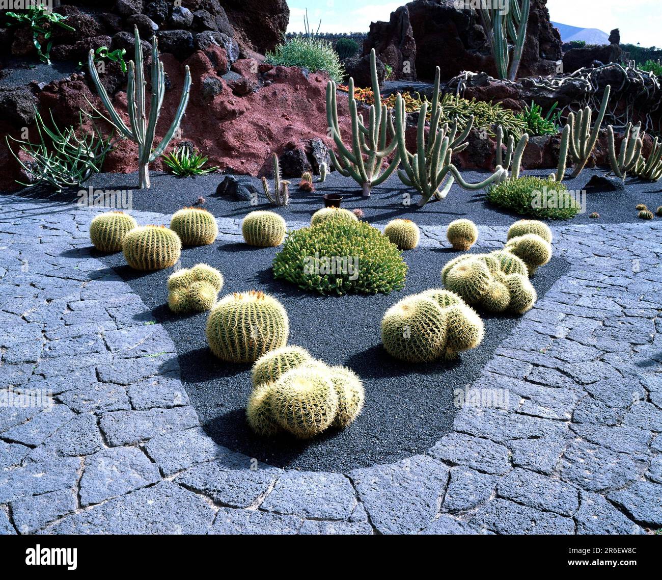 Cactus In Tray Stone Garden Decoration Stock Photo, Picture and Royalty  Free Image. Image 24667452.