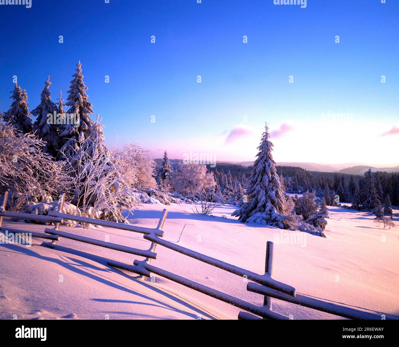 Black Forest in winter, on the Black Forest High Road, Germany Stock Photo Alamy