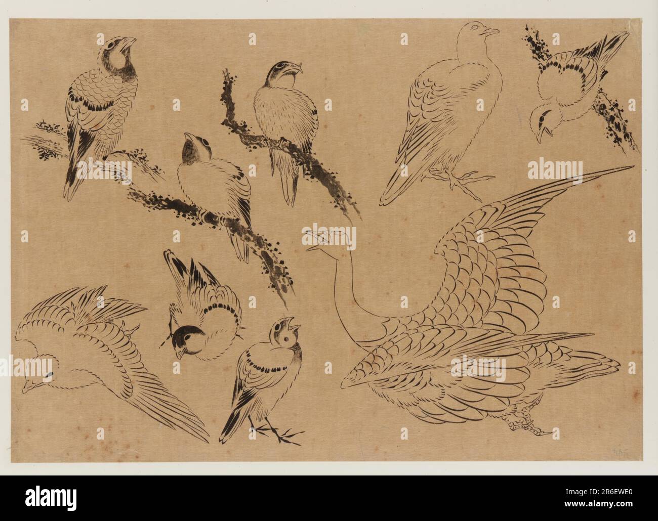 Birds. ink on paper. Origin: Japan. Period: Edo period. Date: 1615-1868 ...