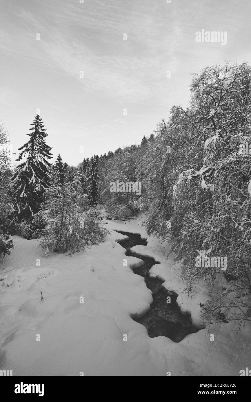A scenic view of a river through trees covered with snow in Toten, Norway in winter Stock Photo