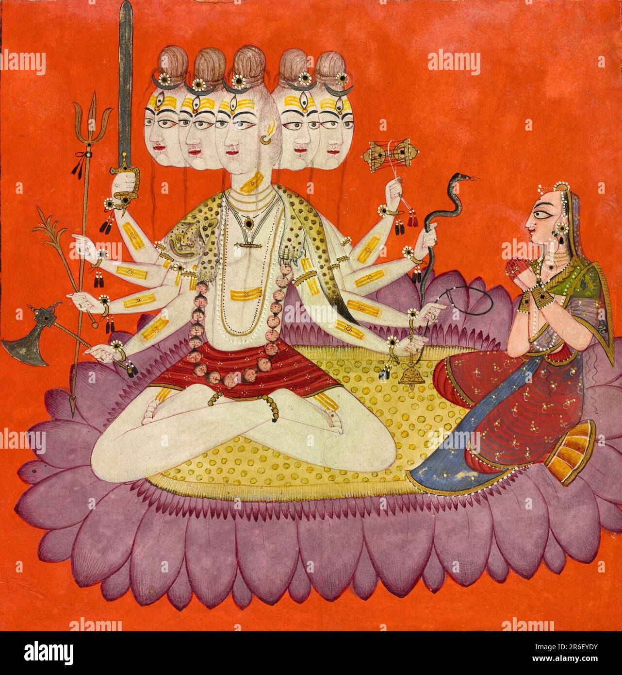 Wearing a snow-leopard skin draped over his shoulders, Sadashiva sits with the goddess on a mauve-petalled lotus floating against an orange-colored ground. Dominating the composition, his large, ash-white body captures the focus of the viewer's attention as well as that of the goddess, whose gaze is fervid and alert. The five-headed deity has eight arms that hold (clockwise from the top right) a drum, snake, noose, bell, axe, grain sheath, trident, and sword. Date: ca. 1690. Origin: Nurpur, Himachal Pradesh state, India. Opaque watercolor, gold, and applied beetle wing on paper. Museum: Freer Stock Photo