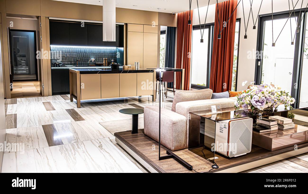 Modern Luxury Living Room and Kitchen Interior Design Concepts Stock