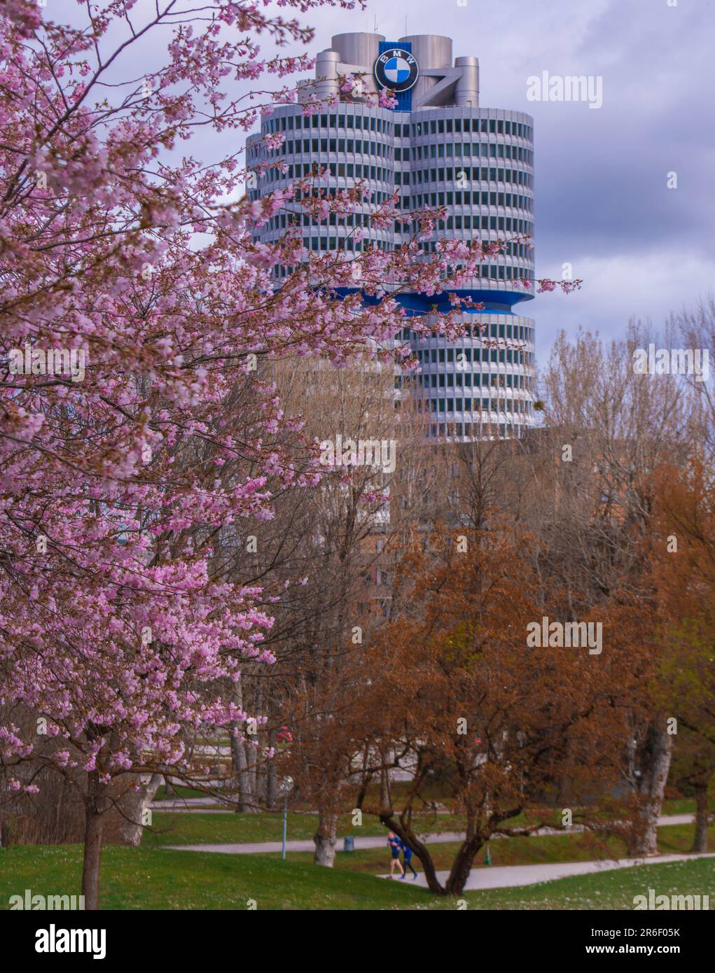 Cherry blossom at Olympiaturm, Olympiapark, Munich, Germany Stock Photo Alamy