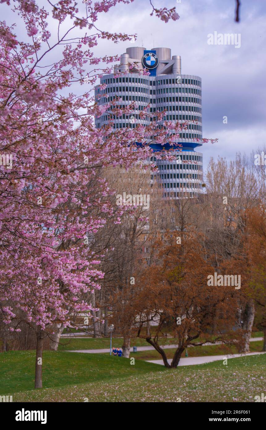 Cherry blossom at Olympiaturm, Olympiapark, Munich, Germany Stock Photo