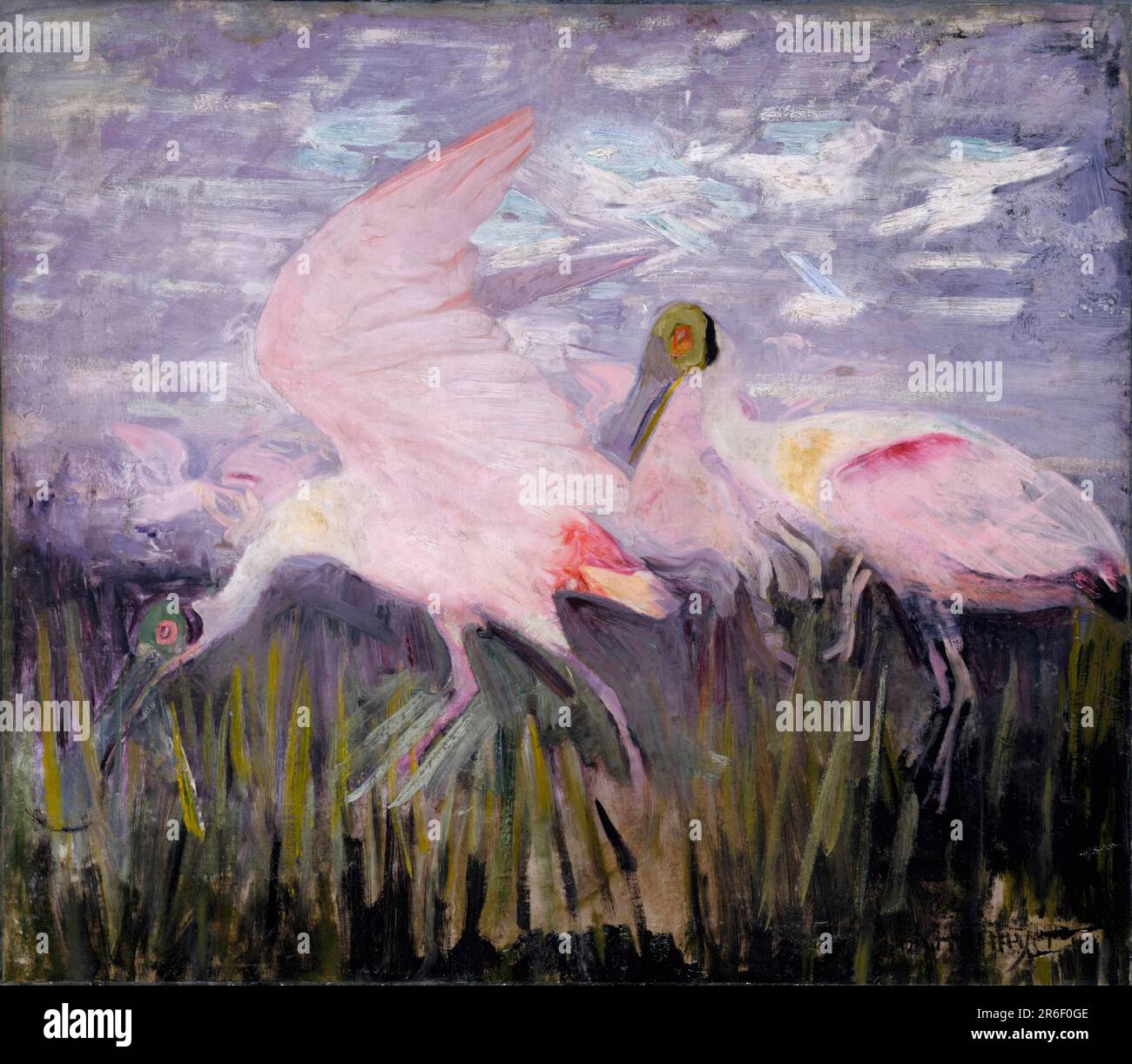 Roseate Spoonbills, study for book Concealing Coloration in the Animal Kingdom. Oil on paperboard. Date: ca. 1905-1909. Museum: Smithsonian American Art Museum. Stock Photo