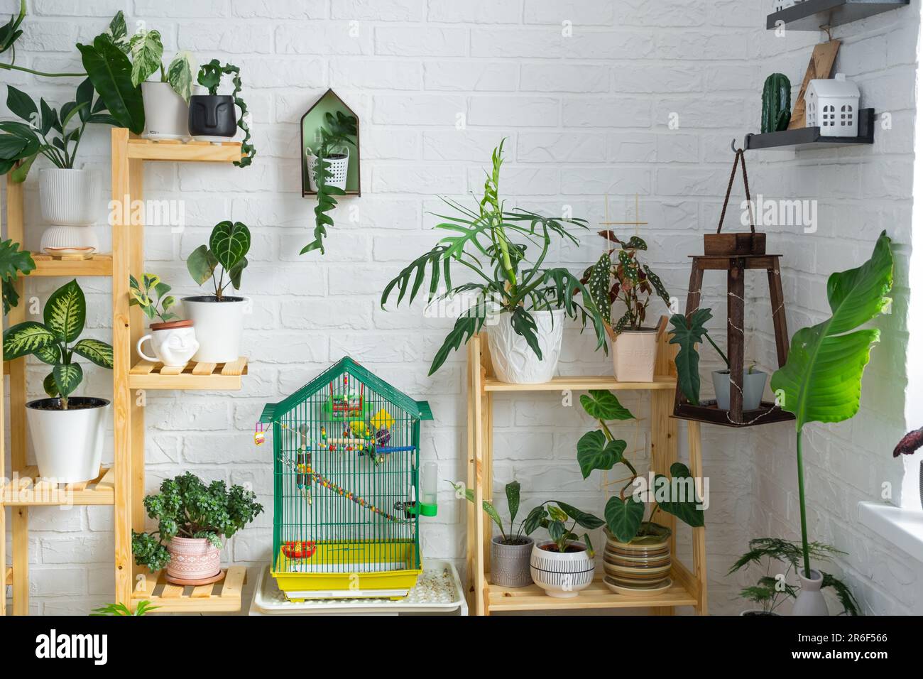 fake monstera Hanging Faux Monstera Kokedama main image 0
