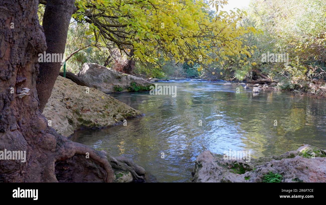 Israel, Upper Galilee, Hazbani River (AKA Snir River) a tributary of