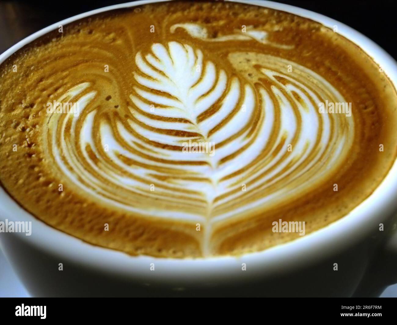 a cappuccino with a leaf design on it. . Stock Photo