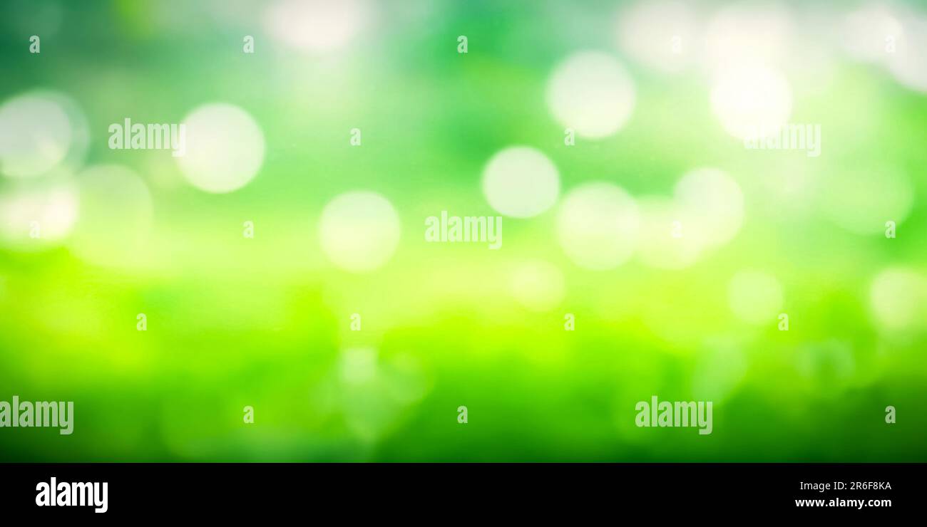 Natural green bokeh light abstract background with copy space. Blurred fresh grass and leaf backdrop. Bright glowing green nature wallpaper. Stock Photo