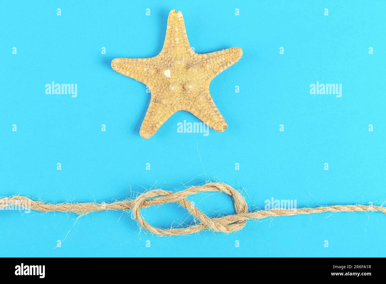 A beige starfish atop a rope of string, curled inward in a defensive ...