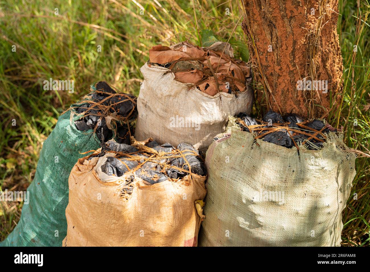 Several sacks of illegally produced charcoal in rural Malawi - a driver of deforestation Stock Photo