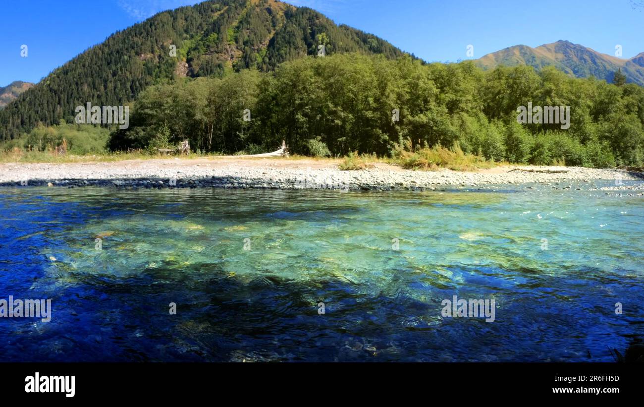 tiny clear cold stream with beach rocks in Arkhyz mountain ridge ...