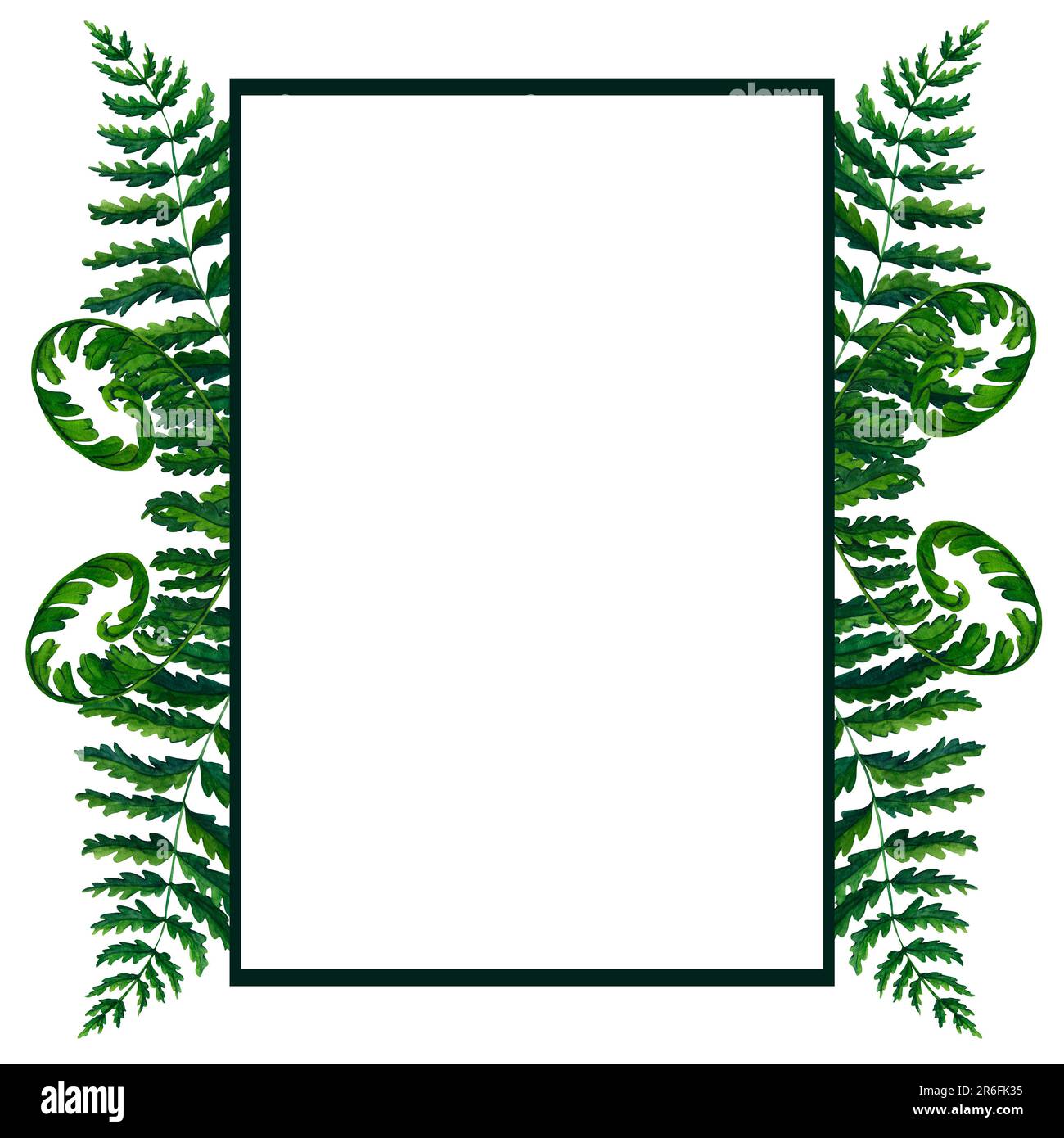 Frame with fern watercolor hand painted illustration in green colors, greenery branch, twig, stem, forest plant isolated on white background for wall Stock Photo