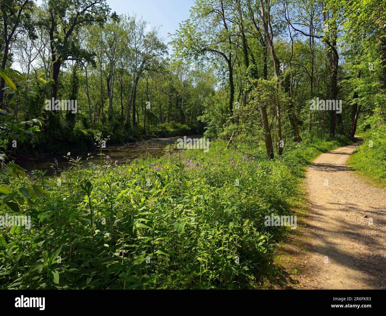 Bridle path along the Chagrin River in northeast Ohio, with wildflowers